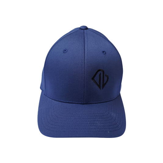 VB Blue Hat