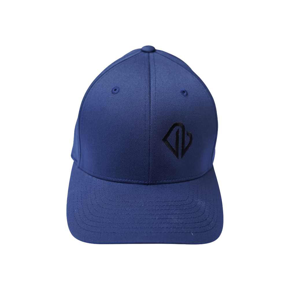 VB Blue Hat